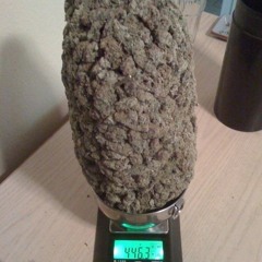 What Happens on the Weekend