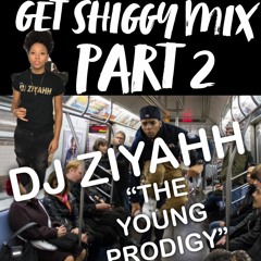 DJ ZIYAHH GET SHIGGY MIX PT 2