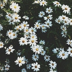 Ode to the Kind: Ft. Lauren Kelly