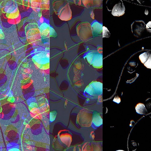 Stream Grant - Are We Still Young (Mailto Remix) by Mailto 