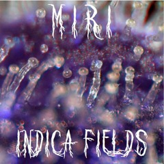 Indica Fields Pt 1 (with lead guitar)