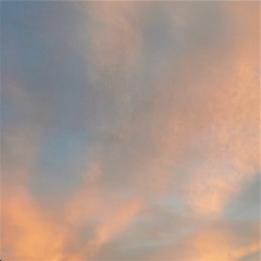 Reality - Richard Sanderson / Live Cover