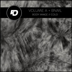 Volume A & Bnml - Body Image