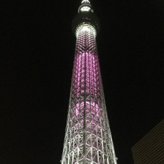 ROSIER (LUNA SEA copy)