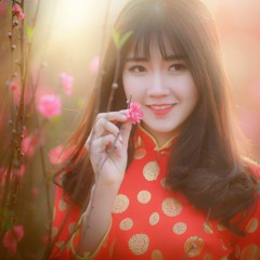Nếu Lúc Trước Em Đừng Tới