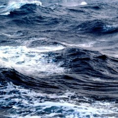 Samochód w kanale portowym w Gdyni