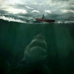 The Shallows (clip)