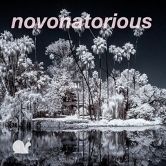 FREE DL : Håns Vøm Schneggeloch - Novonatorious (Original Mix)
