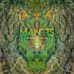 Overdream & Mantis & Cifrateca - Kasta Neda