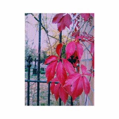 Jonathan Bergen - Red Leaves Falling