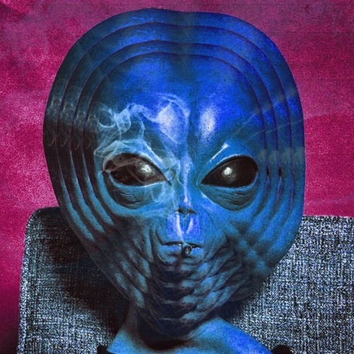 Návštěvník (wierdsky remix)