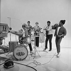 Intravinyl: The Equals