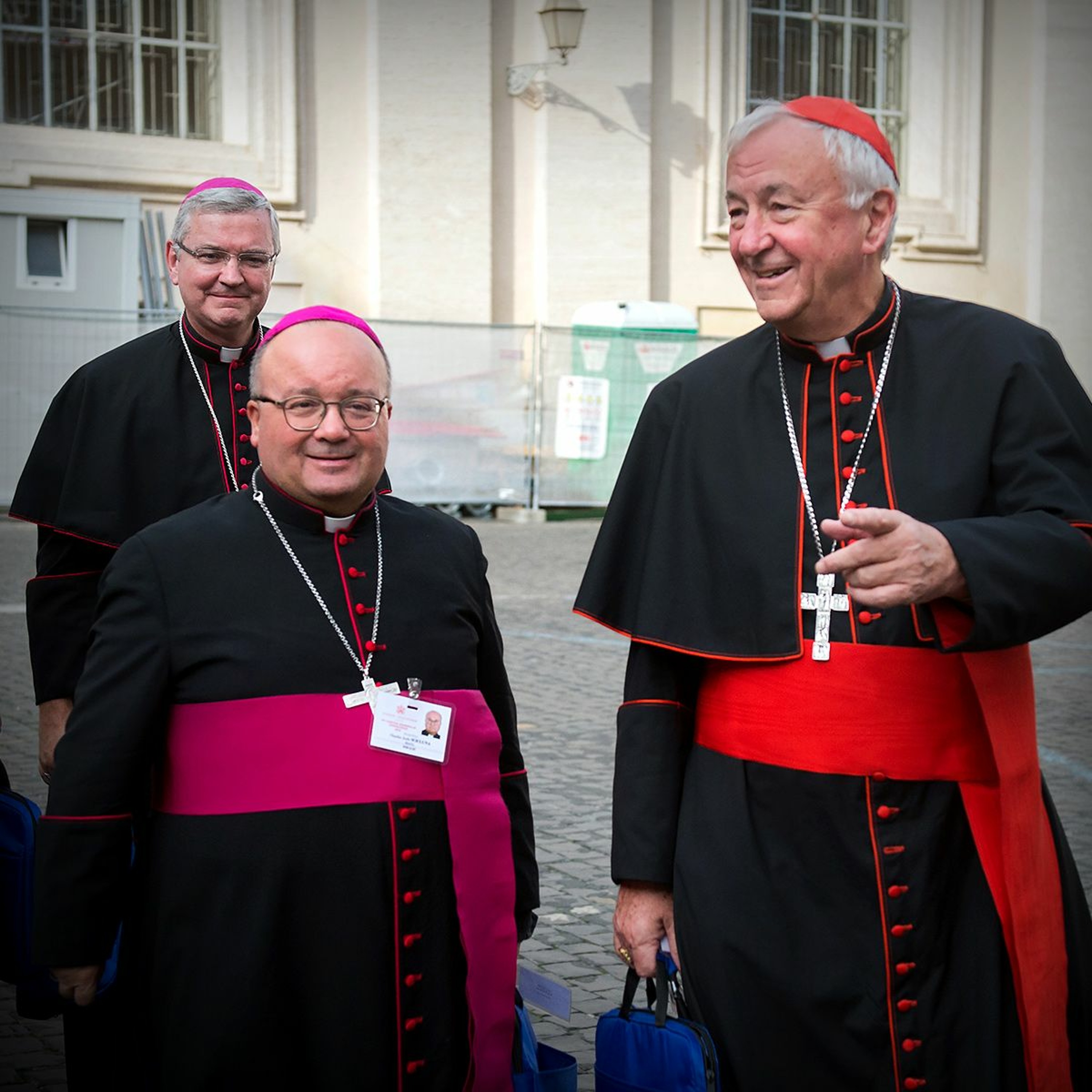 Cardinal: Bishops working on the Youth Synod's final document for Pope Francis episode artwork