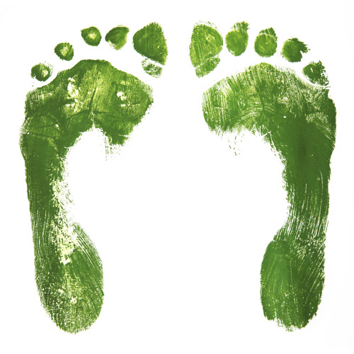 The Allotted Human Ecological Footprint