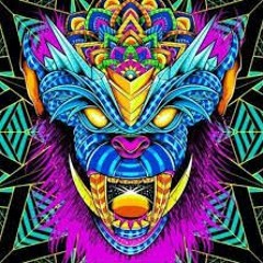 Trance/Trance Progressive/Minimal