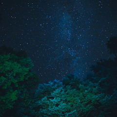 Wavy Pt 2 Ft. Toil Ambition