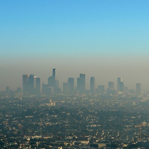 Smog (DNB #8)