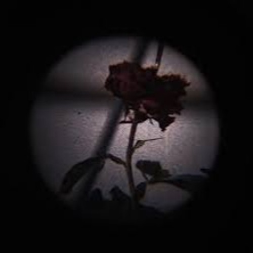 R I P  (Ft. Txmmy & MiichaelRivv)