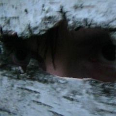 BRAINTHINKTANK - OrganCheck