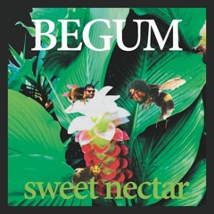 Begum - Sweet Nectar