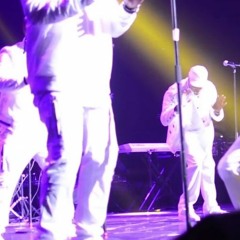 Concert
