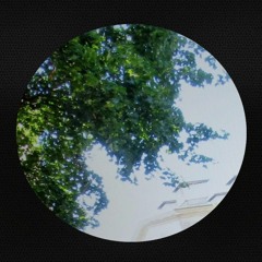 FBSL003 II Leafs of July