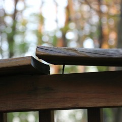 Hallelujah (Vocal Cover)