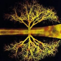 Psychill