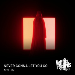 Mytlin - Never Gonna Let You Go