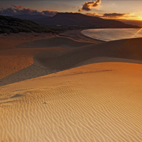 nhạc nền tik tok