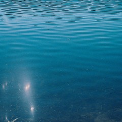 kahekestimullivannis_