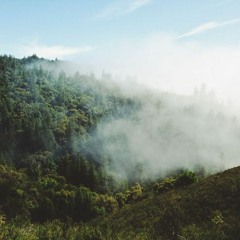 an experiment on texture