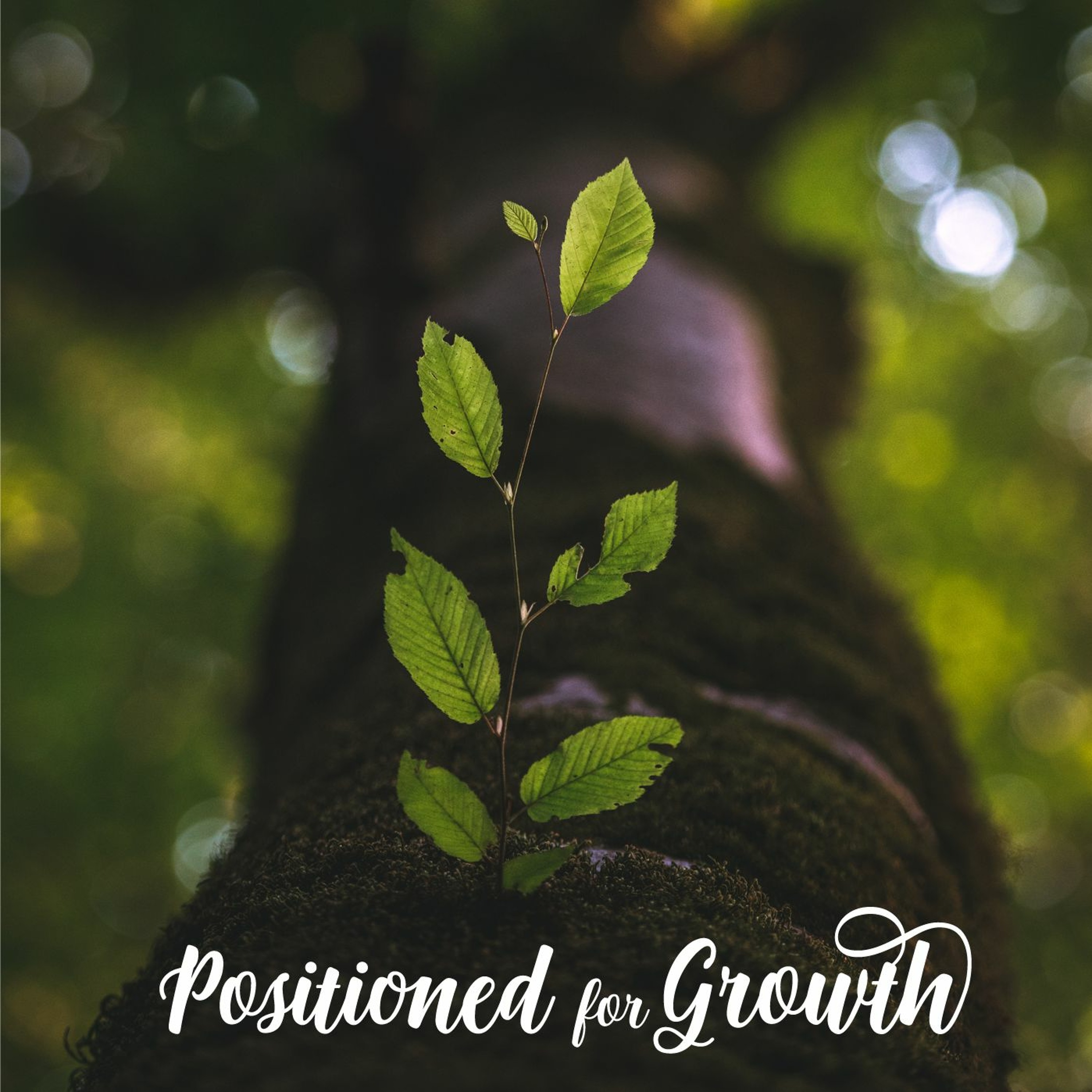 Positioned for Growth episode artwork