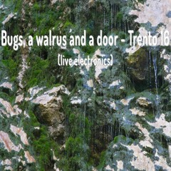 Bostjan Perovšek - Bugs, A Walrus And A Door - Trento 16 (live Electronics)