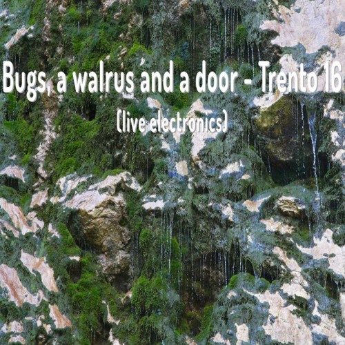 Bostjan Perovšek - Bugs, A Walrus And A Door - Trento 16 (live Electronics)