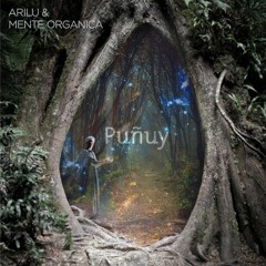 Arilu & Mente Organica - The End