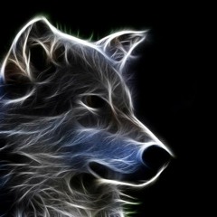 MIXTAPE SQ1 - Pour le loup
