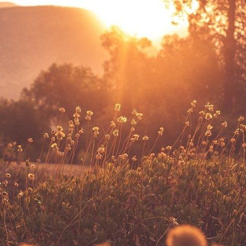 boom bap/lofi