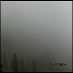 Stream Lord Buffalo music | Listen to songs, albums, playlists for free on  SoundCloud