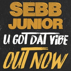 LAVA04 - Sebb Junior - U Got Dat Vibe EP - Preview