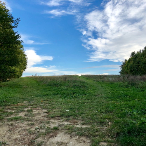 L.I.F.E. (Looking Into Four Environments) - BINAURAL