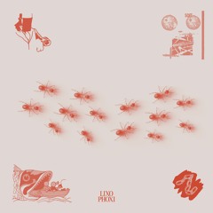 Premiere: Lixo - 'Phoxi'