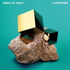 Jungle By Night - Pompette