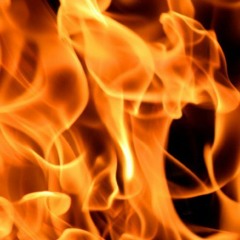 Felcon - Fire Proof