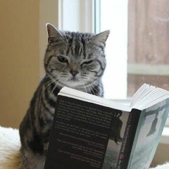 Literature Cat