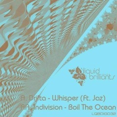 Indivision - Boil The Ocean