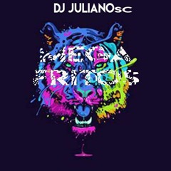 MEGA FRITOS OUTUBRO 2018 - DJ JULIANO SC