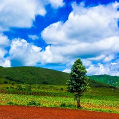 Run From Danger In A Station Or Crowded Indoor Place