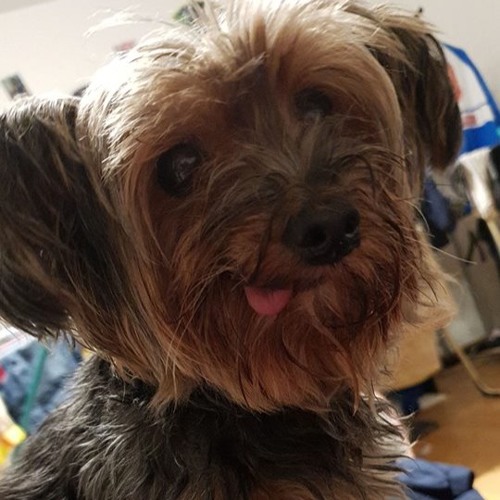 Tiefenentspannt - Techno - Stunde Aus Der Bombenstadt Teil 5