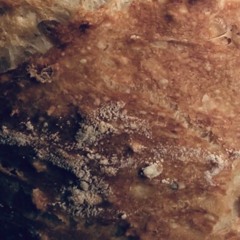 when the moments arise